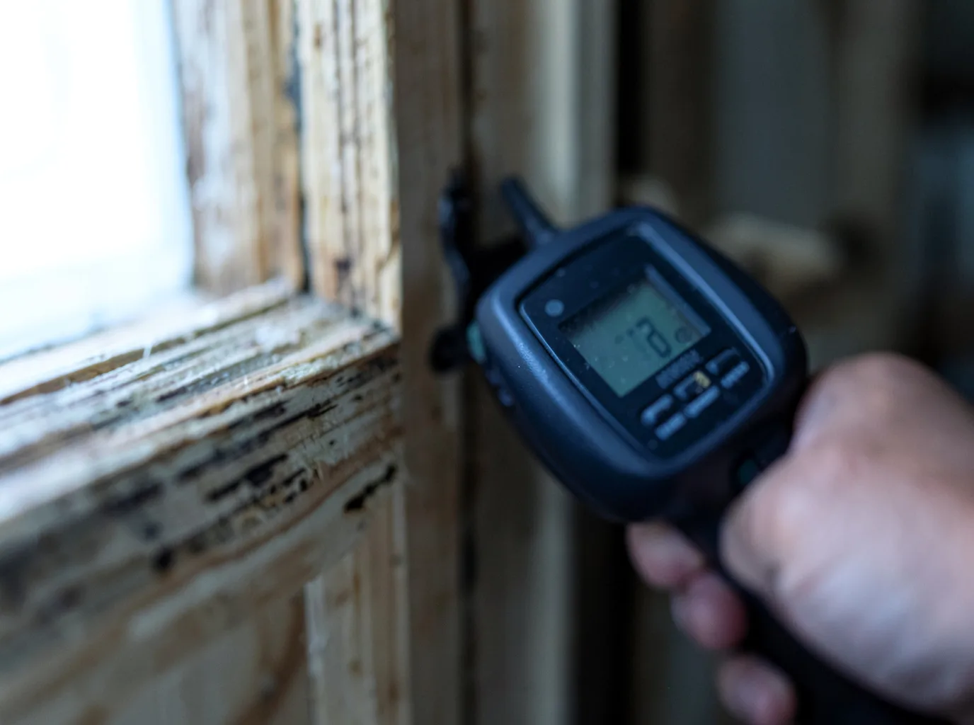 Moisture Inspection And Documentation in Weikert, PA
